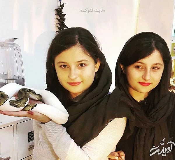 عکس سارا و نیکا فرقانی اصل + بیوگرافی